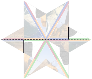 edges to fold and cut