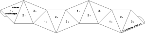 net for isosceles octaflexagon with 6 sides